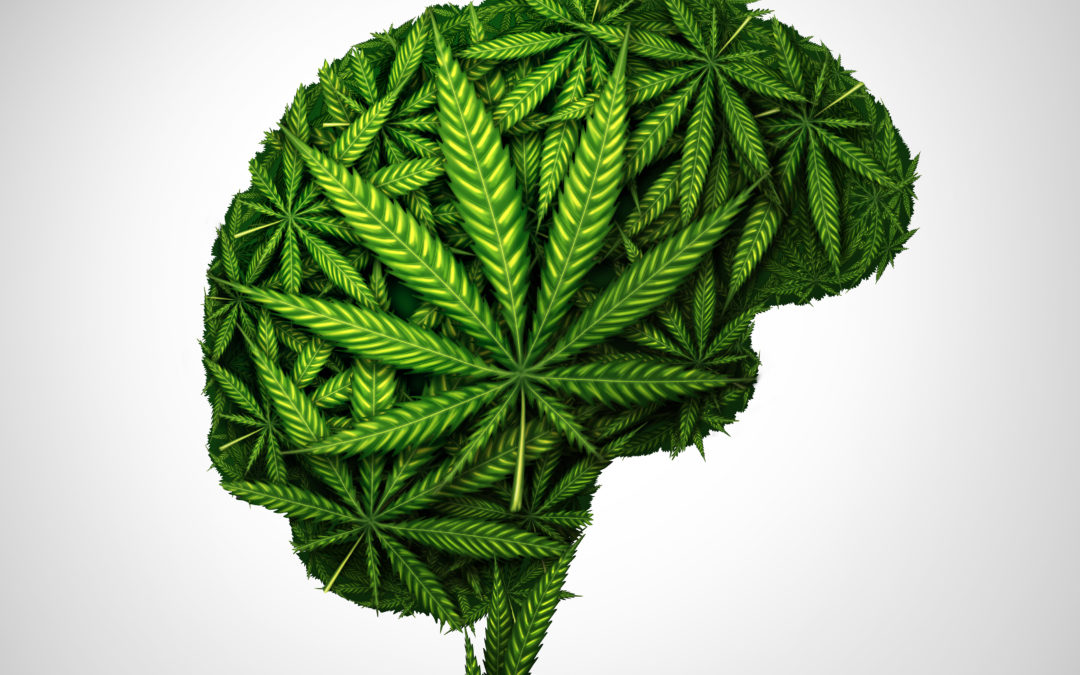 What Are Cannabinoids?