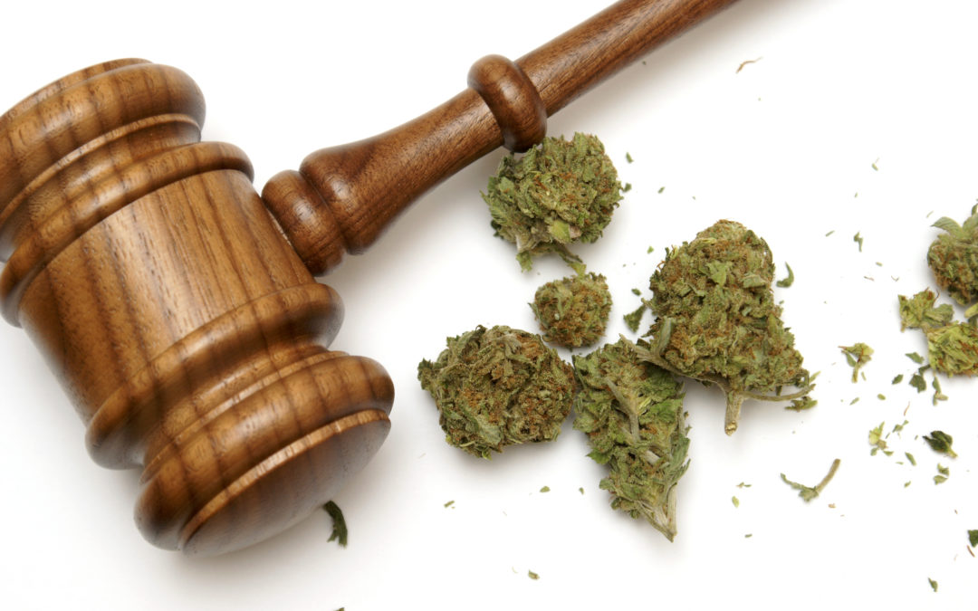 Legalization of Cannabis: A Brief History