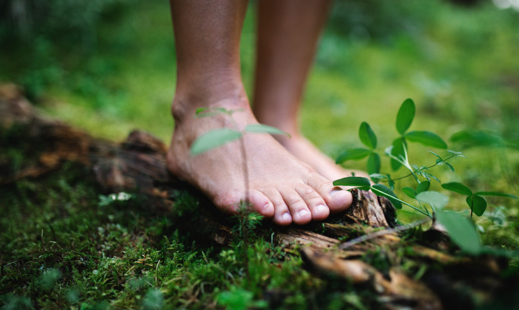 Bare feet walking in the forest.