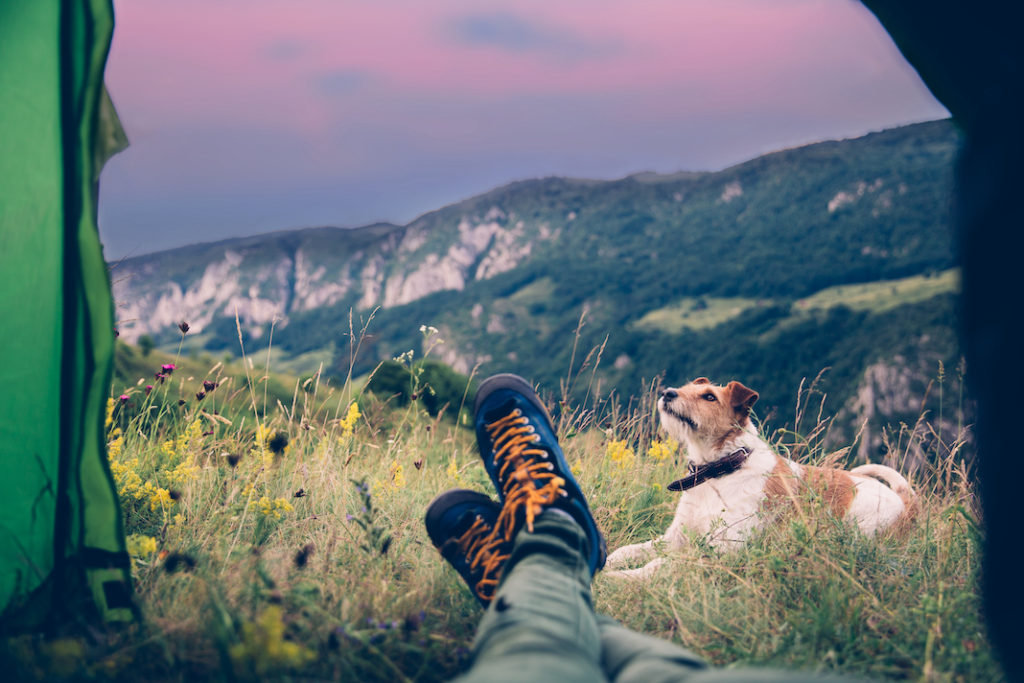 A person camping with their dog in the mountains. 