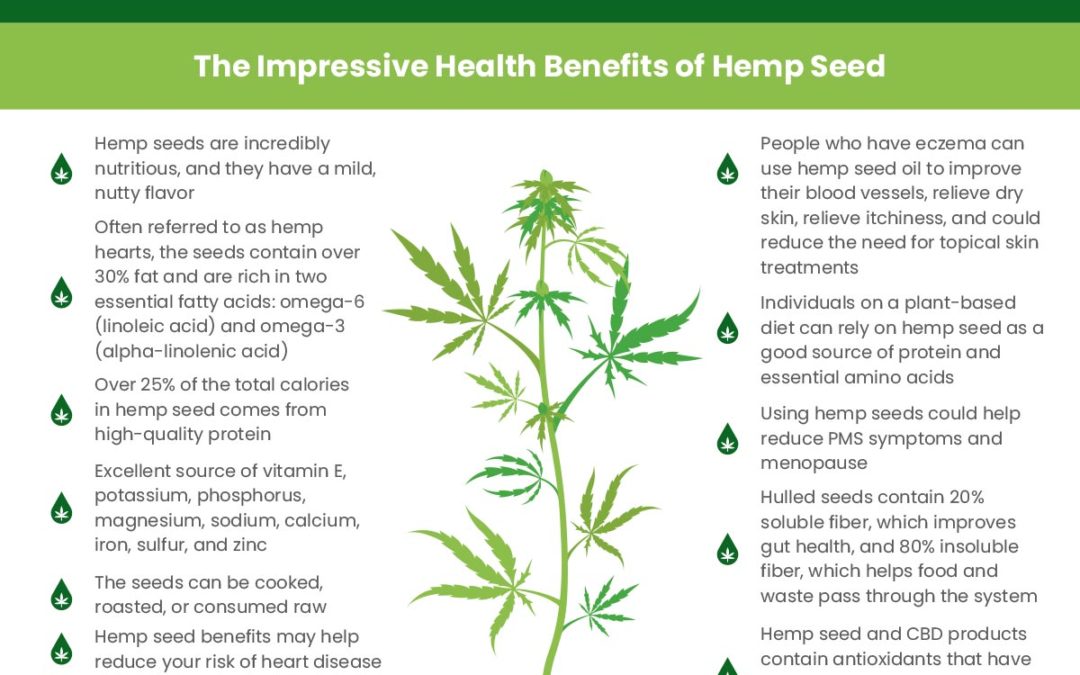 The Impressive Truth About Hemp Seed