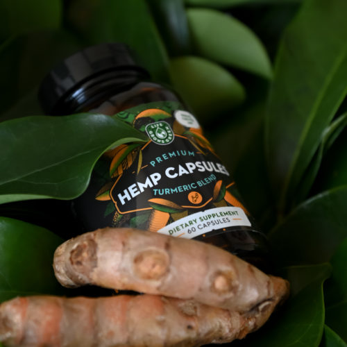 A glass bottle of turmeric capsules with hemp, surrounded by turmeric root and lush, green leaves.