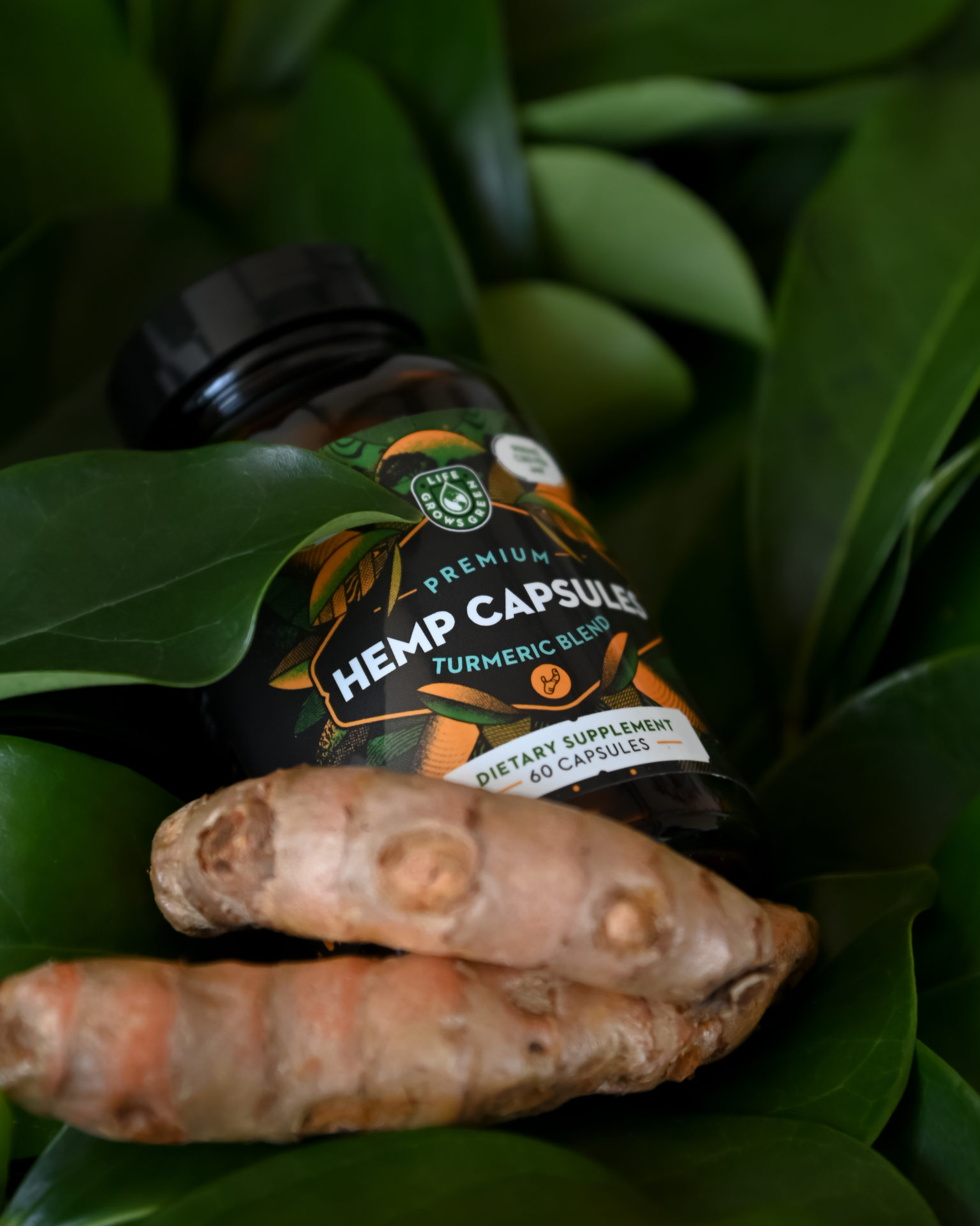 A glass bottle of turmeric capsules with hemp, surrounded by turmeric root and lush, green leaves.